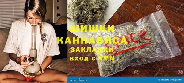 дурь Бронницы