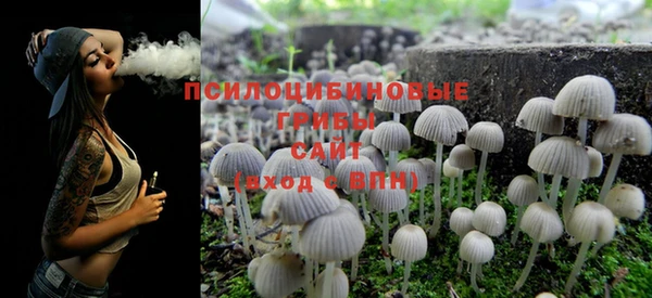 дурь Бронницы
