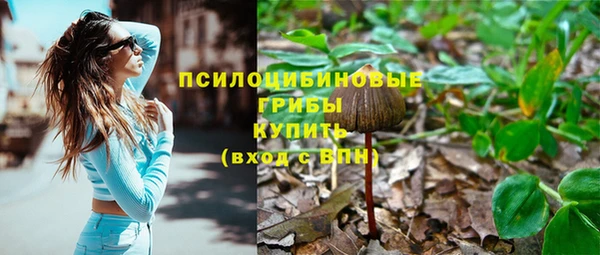 мет Бородино