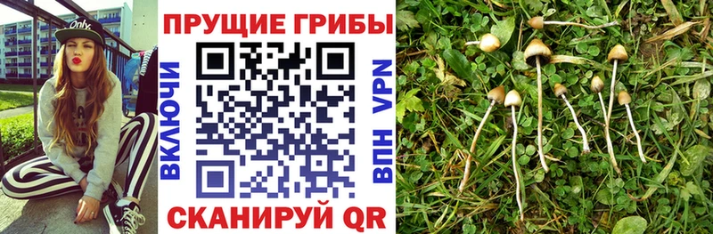 Галлюциногенные грибы мухоморы  Брюховецкая 